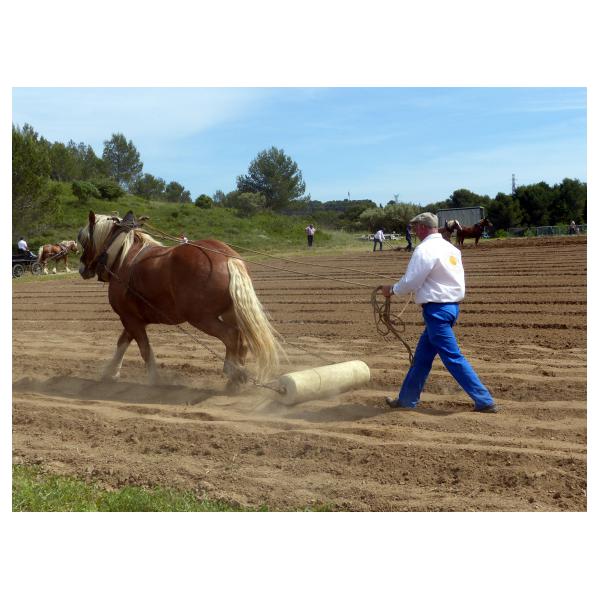 PHOTO84, CLUB, 84 , LUBERON